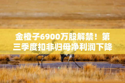 金橙子6900万股解禁!第三季度扣非归母净利润下降超20%,正推进并购萨米特 金橙子6900万股解禁!第三季度扣非归母净利润下降超20%,正推进并购萨米特