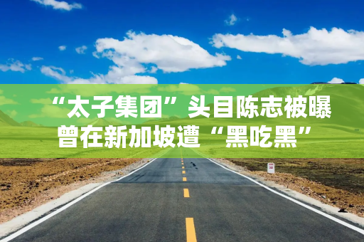 “太子集团”头目陈志被曝曾在新加坡遭“黑吃黑”