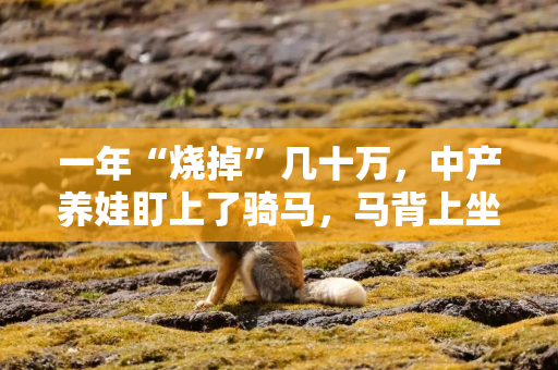 一年“烧掉”几十万，中产养娃盯上了骑马，马背上坐满了10后