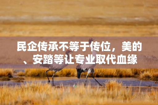 民企传承不等于传位,美的、安踏等让专业取代血缘 民企传承不等于传位,美的、安踏等让专业取代血缘