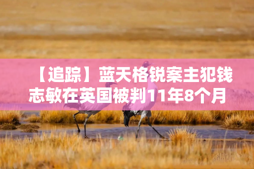 【追踪】蓝天格锐案主犯钱志敏在英国被判11年8个月监禁,此前已承认通过比特币洗钱 【追踪】蓝天格锐案主犯钱志敏在英国被判11年8个月监禁,此前已承认通过比特币洗钱