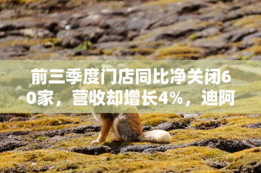 前三季度门店同比净关闭60家,营收却增长4%,迪阿股份回应:单店运营质量明显提升 前三季度门店同比净关闭60家,营收却增长4%,迪阿股份回应:单店运营质量明显提升
