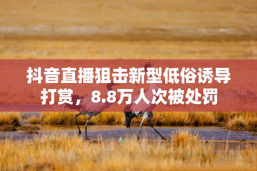抖音直播狙击新型低俗诱导打赏,8.8万人次被处罚 抖音直播狙击新型低俗诱导打赏,8.8万人次被处罚