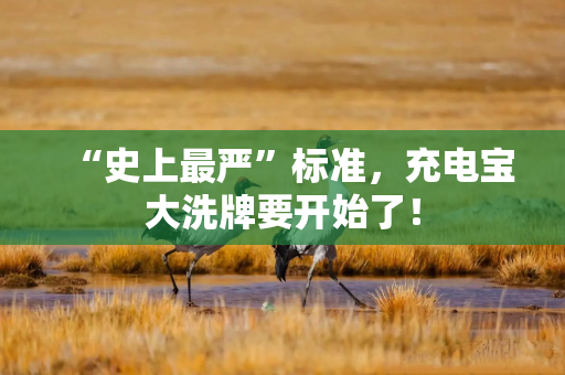“史上最严”标准，充电宝大洗牌要开始了！