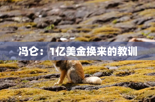 冯仑:1亿美金换来的教训 冯仑:1亿美金换来的教训