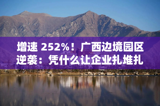 增速 252%！广西边境园区逆袭：凭什么让企业扎堆扎根？