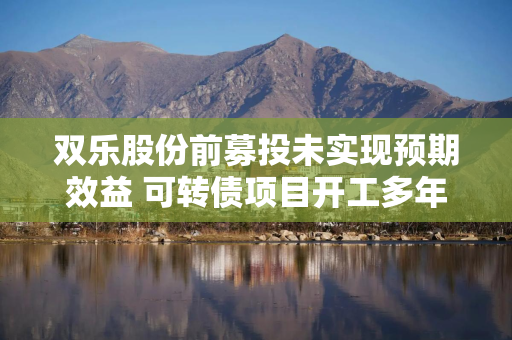 双乐股份前募投未实现预期效益 可转债项目开工多年进度不足五成