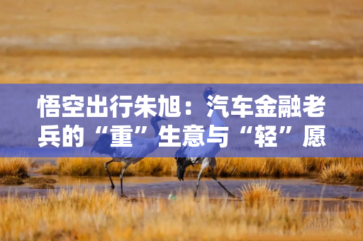 悟空出行朱旭:汽车金融老兵的“重”生意与“轻”愿景 悟空出行朱旭:汽车金融老兵的“重”生意与“轻”愿景