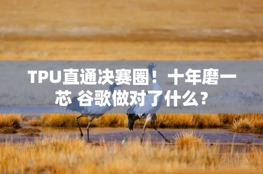 TPU直通决赛圈！十年磨一芯 谷歌做对了什么？