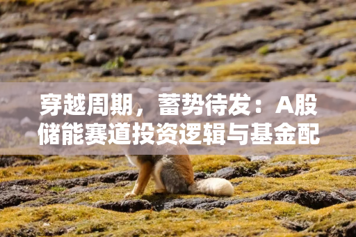 穿越周期，蓄势待发：A股储能赛道投资逻辑与基金配置指南