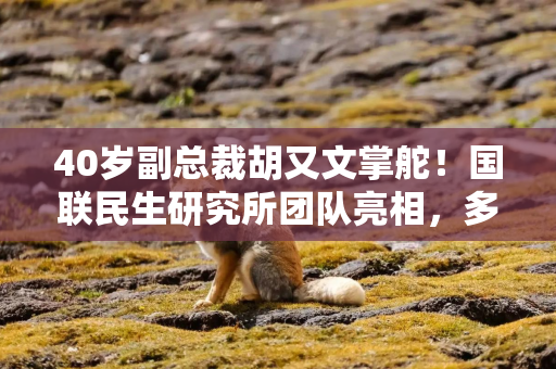 40岁副总裁胡又文掌舵!国联民生研究所团队亮相,多数高管出自民生证券 40岁副总裁胡又文掌舵!国联民生研究所团队亮相,多数高管出自民生证券