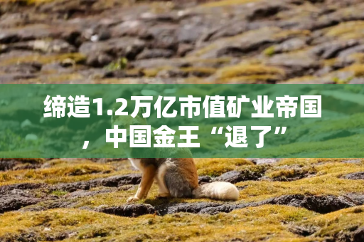 缔造1.2万亿市值矿业帝国，中国金王“退了”