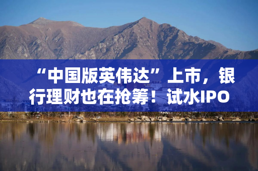 “中国版英伟达”上市，银行理财也在抢筹！试水IPO打新，难点在哪？