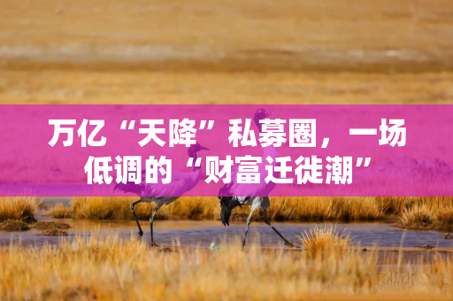 万亿“天降”私募圈,一场低调的“财富迁徙潮” 万亿“天降”私募圈,一场低调的“财富迁徙潮”