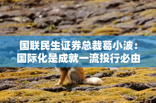 国联民生证券总裁葛小波：国际化是成就一流投行必由之路