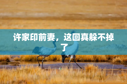 许家印前妻，这回真躲不掉了