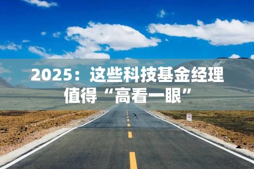 2025：这些科技基金经理值得“高看一眼”