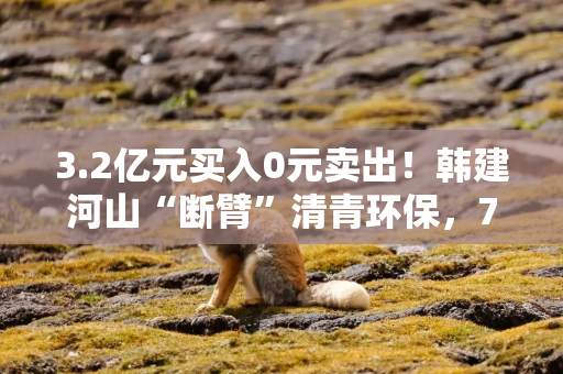 3.2亿元买入0元卖出！韩建河山“断臂”清青环保，750万元被动资助款怎么办？