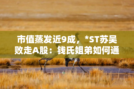 市值蒸发近9成，*ST苏吴败走A股：钱氏姐弟如何通过“影子”游戏掏空上市公司？