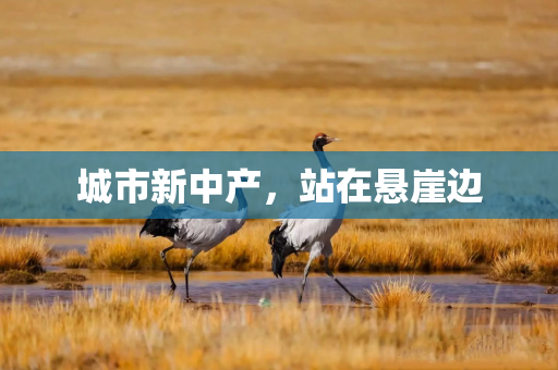 城市新中产，站在悬崖边