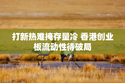 打新热难掩存量冷 香港创业板流动性待破局 打新热难掩存量冷 香港创业板流动性待破局