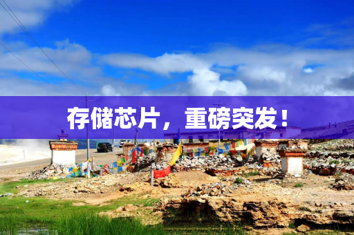 存储芯片，重磅突发！