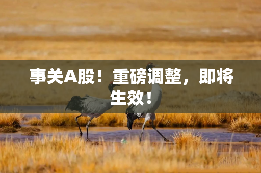 事关A股！重磅调整，即将生效！