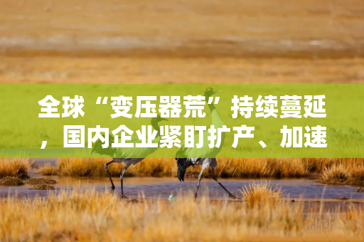 全球“变压器荒”持续蔓延，国内企业紧盯扩产、加速抢占海外市场