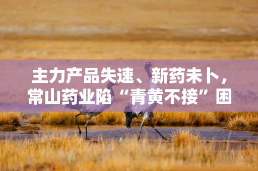 主力产品失速、新药未卜，常山药业陷“青黄不接”困局