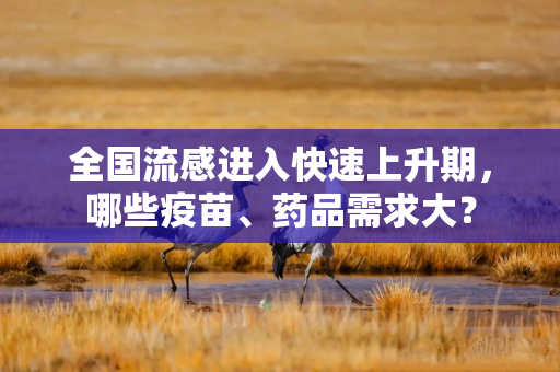 全国流感进入快速上升期，哪些疫苗、药品需求大？