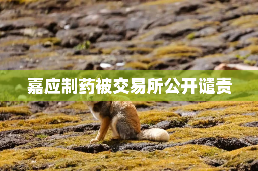 嘉应制药被交易所公开谴责 嘉应制药被交易所公开谴责