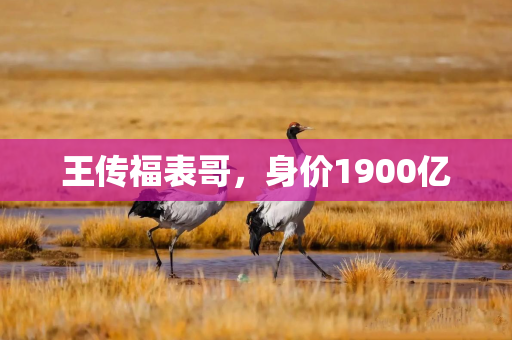 王传福表哥,身价1900亿 王传福表哥,身价1900亿