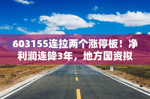 603155连拉两个涨停板！净利润连降3年，地方国资拟19.6亿入主