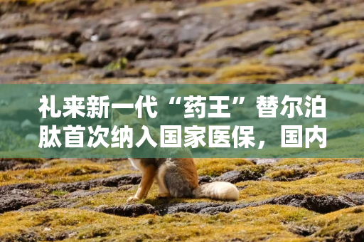 礼来新一代“药王”替尔泊肽首次纳入国家医保，国内GLP-1竞争格局或生变