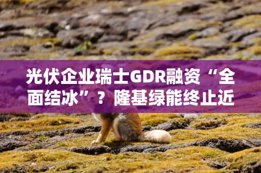 光伏企业瑞士GDR融资“全面结冰”?隆基绿能终止近200亿计划,阳光电源等仍在“闯关”法兰克福 光伏企业瑞士GDR融资“全面结冰”?隆基绿能终止近200亿计划,阳光电源等仍在“闯关”法兰克福