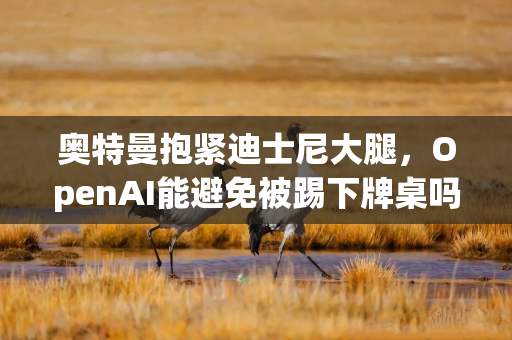 奥特曼抱紧迪士尼大腿,OpenAI能避免被踢下牌桌吗? 奥特曼抱紧迪士尼大腿,OpenAI能避免被踢下牌桌吗?