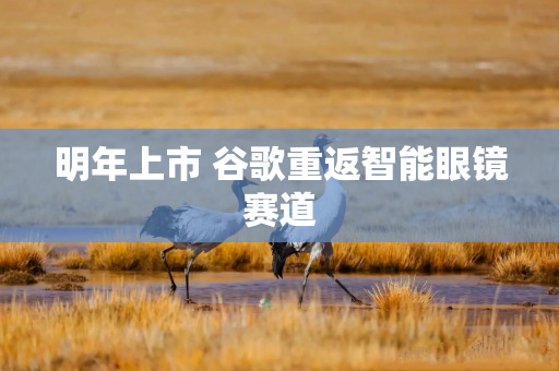 明年上市 谷歌重返智能眼镜赛道