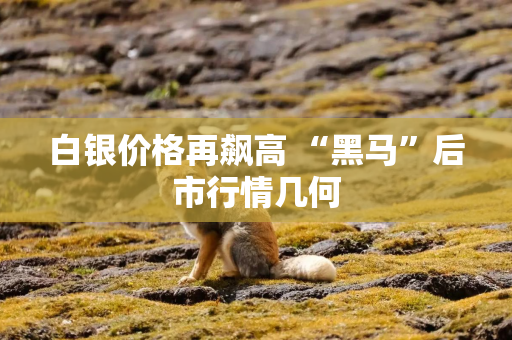 白银价格再飙高 “黑马”后市行情几何