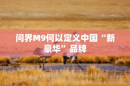 问界M9何以定义中国“新豪华”品牌