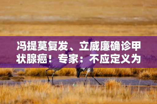 冯提莫复发、立威廉确诊甲状腺癌!专家:不应定义为“懒癌”,中青年女性是主要发病人群 冯提莫复发、立威廉确诊甲状腺癌!专家:不应定义为“懒癌”,中青年女性是主要发病人群