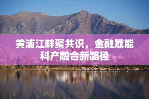 黄浦江畔聚共识，金融赋能科产融合新路径