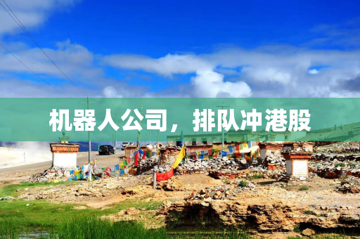 机器人公司,排队冲港股 机器人公司,排队冲港股