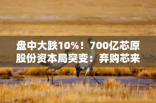 盘中大跌10%!700亿芯原股份资本局突变:弃购芯来智融,拟拿下逐点半导体 盘中大跌10%!700亿芯原股份资本局突变:弃购芯来智融,拟拿下逐点半导体