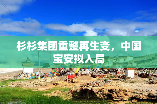 杉杉集团重整再生变,中国宝安拟入局 杉杉集团重整再生变,中国宝安拟入局