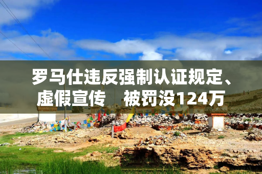 罗马仕违反强制认证规定、虚假宣传 被罚没124万 罗马仕违反强制认证规定、虚假宣传 被罚没124万