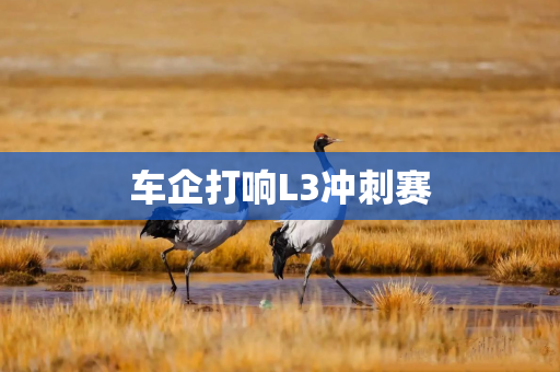 车企打响L3冲刺赛 车企打响L3冲刺赛