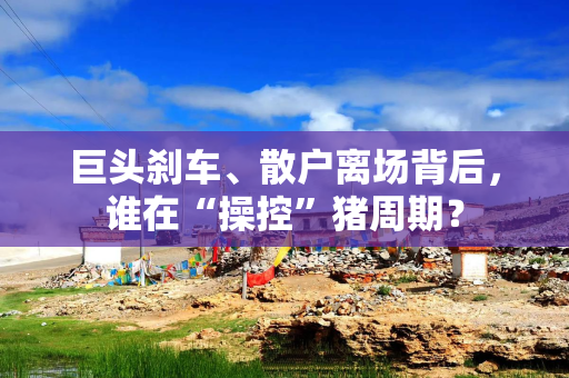 巨头刹车、散户离场背后，谁在“操控”猪周期？