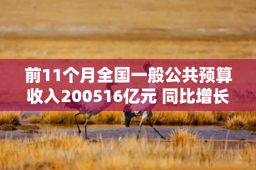 前11个月全国一般公共预算收入200516亿元 同比增长0.8%