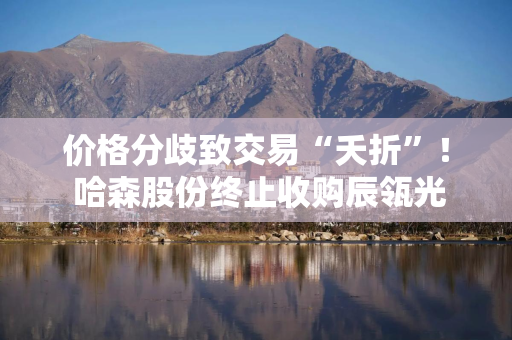 价格分歧致交易“夭折”！ 哈森股份终止收购辰瓴光学，鞋企跨界消费电子，此前已5年亏损