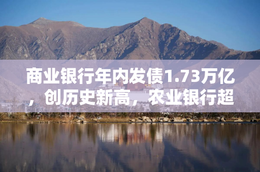 商业银行年内发债1.73万亿，创历史新高，农业银行超3000亿居第一